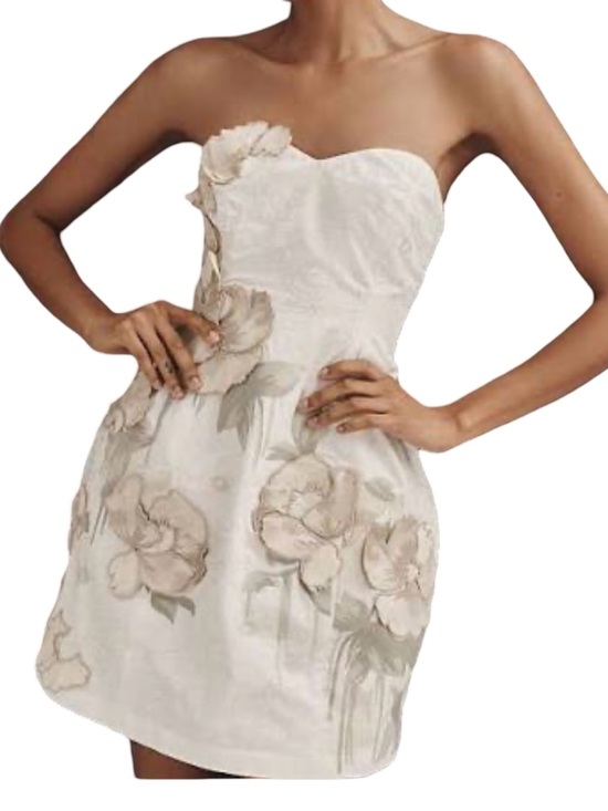 Anthropologie Dresses & Skirts - Anthropologie NWT Strapless Floral Appliqué Mini Dress Size S